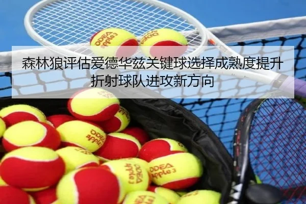 森林狼评估爱德华兹关键球选择成熟度提升折射球队进攻新方向