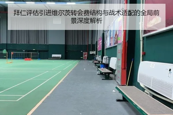 拜仁评估引进维尔茨转会费结构与战术适配的全局前景深度解析