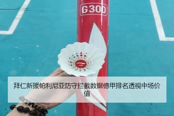 拜仁新援帕利尼亚防守拦截数据德甲排名透视中场价值